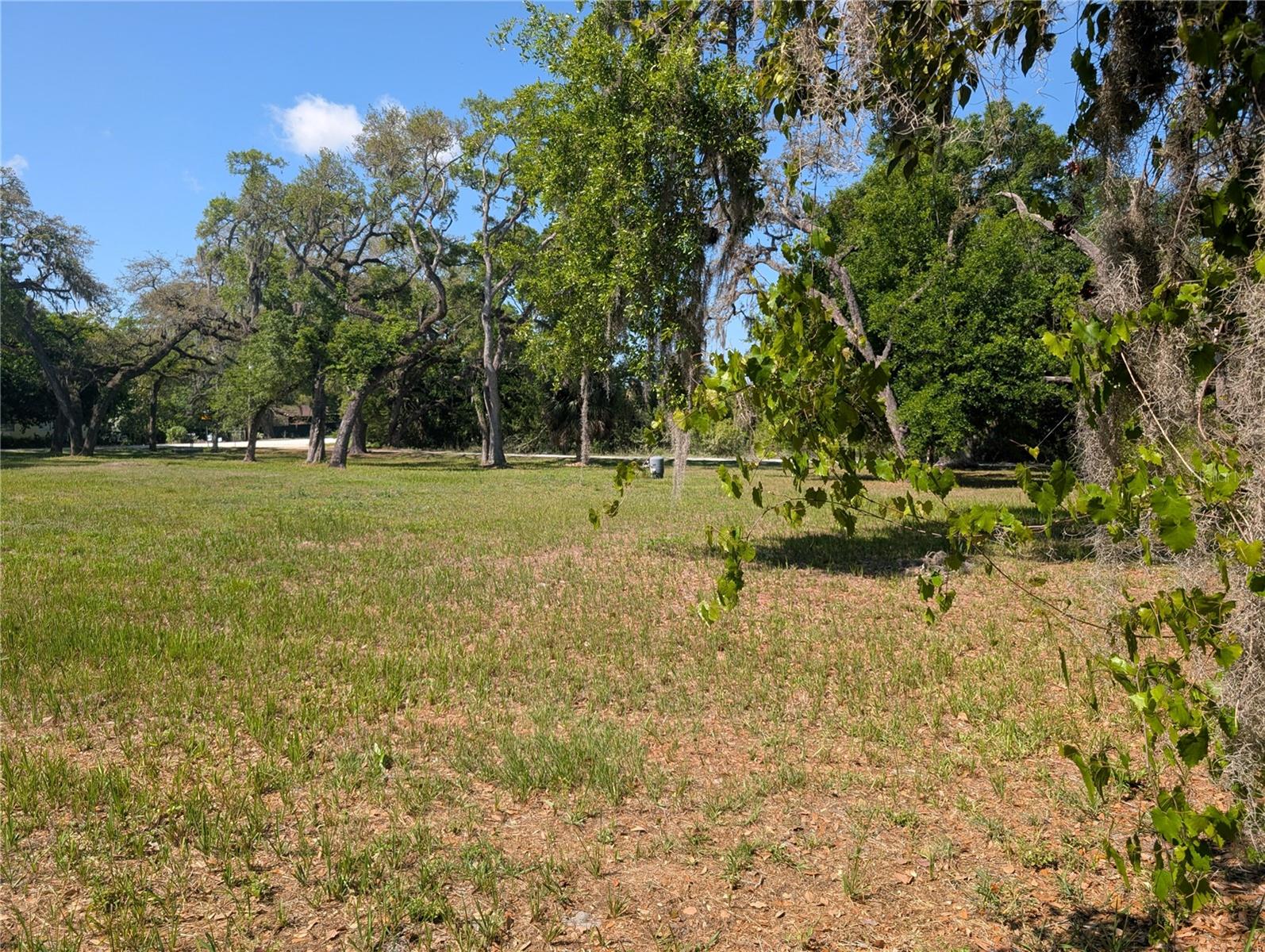 8519 ADONIS RD, NEW PORT RICHEY, FL — photo 4