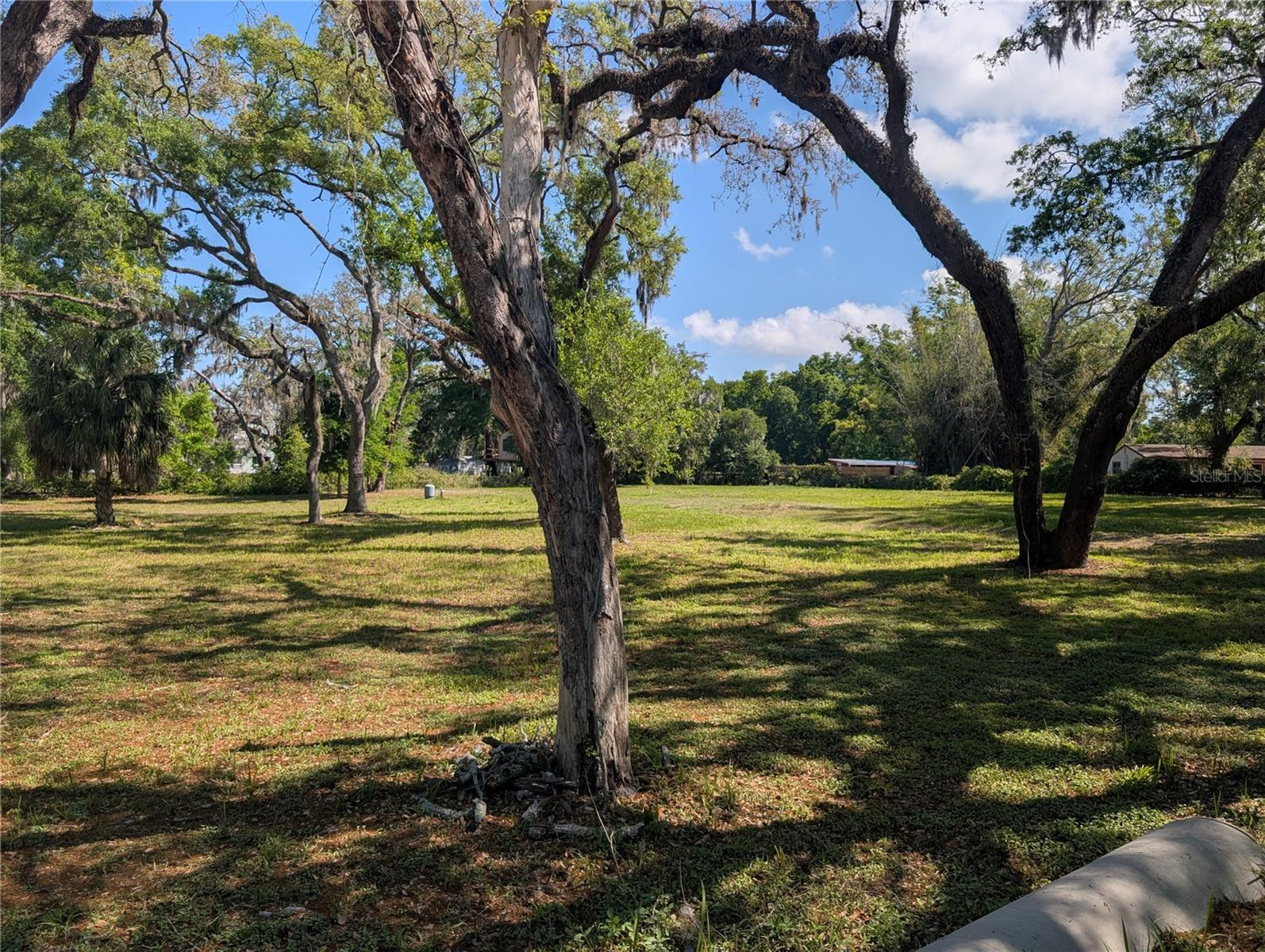 8519 ADONIS RD, NEW PORT RICHEY, FL — photo 5