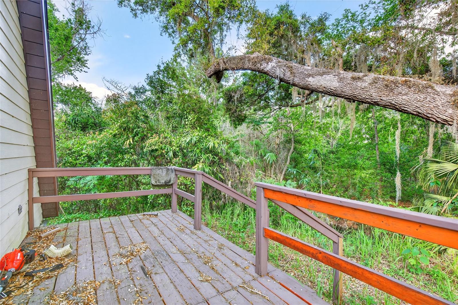14953 SE 107TH AVE, SUMMERFIELD, FL — photo 25