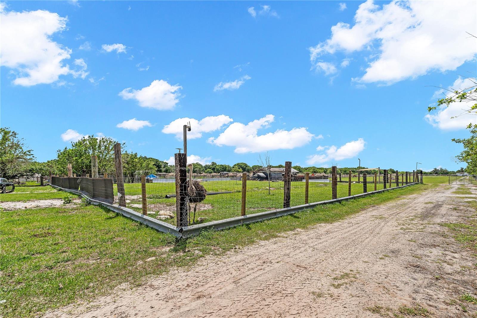 1321 BLUFF HAMMOCK RD, LORIDA, FL — photo 35