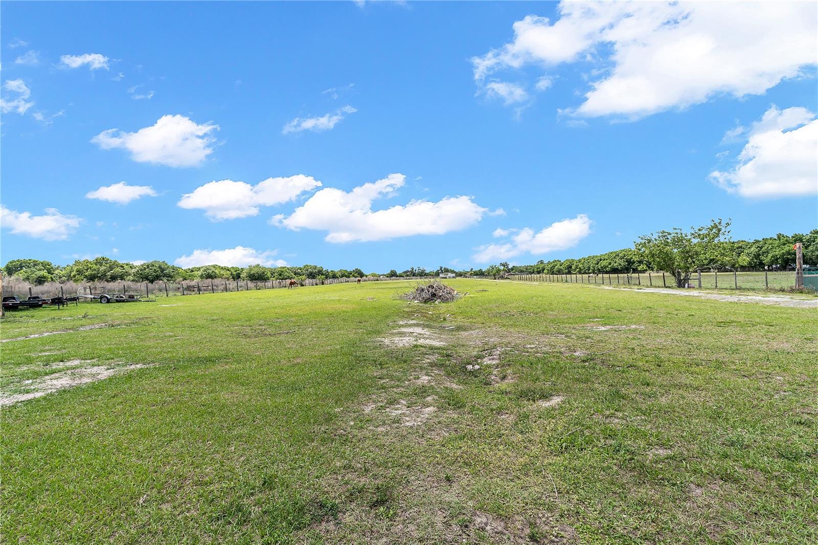 1321 BLUFF HAMMOCK RD, LORIDA, FL — photo 37