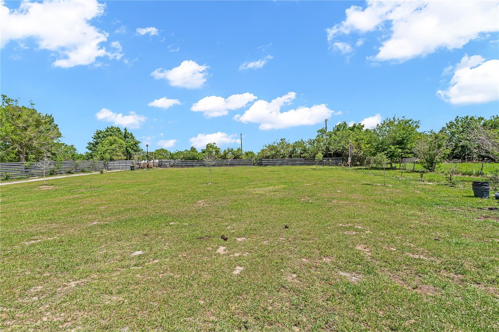 1321 BLUFF HAMMOCK RD, LORIDA, FL — photo 46
