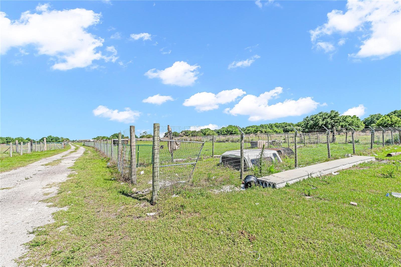 1321 BLUFF HAMMOCK RD, LORIDA, FL — photo 53
