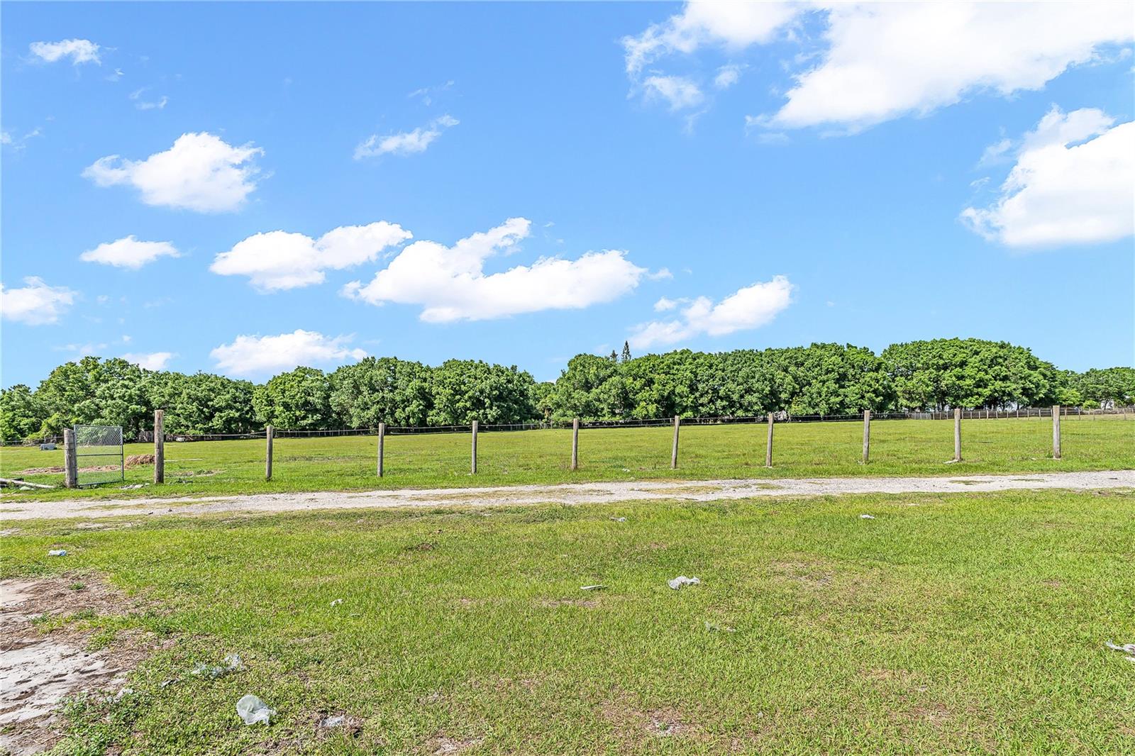 1321 BLUFF HAMMOCK RD, LORIDA, FL — photo 55