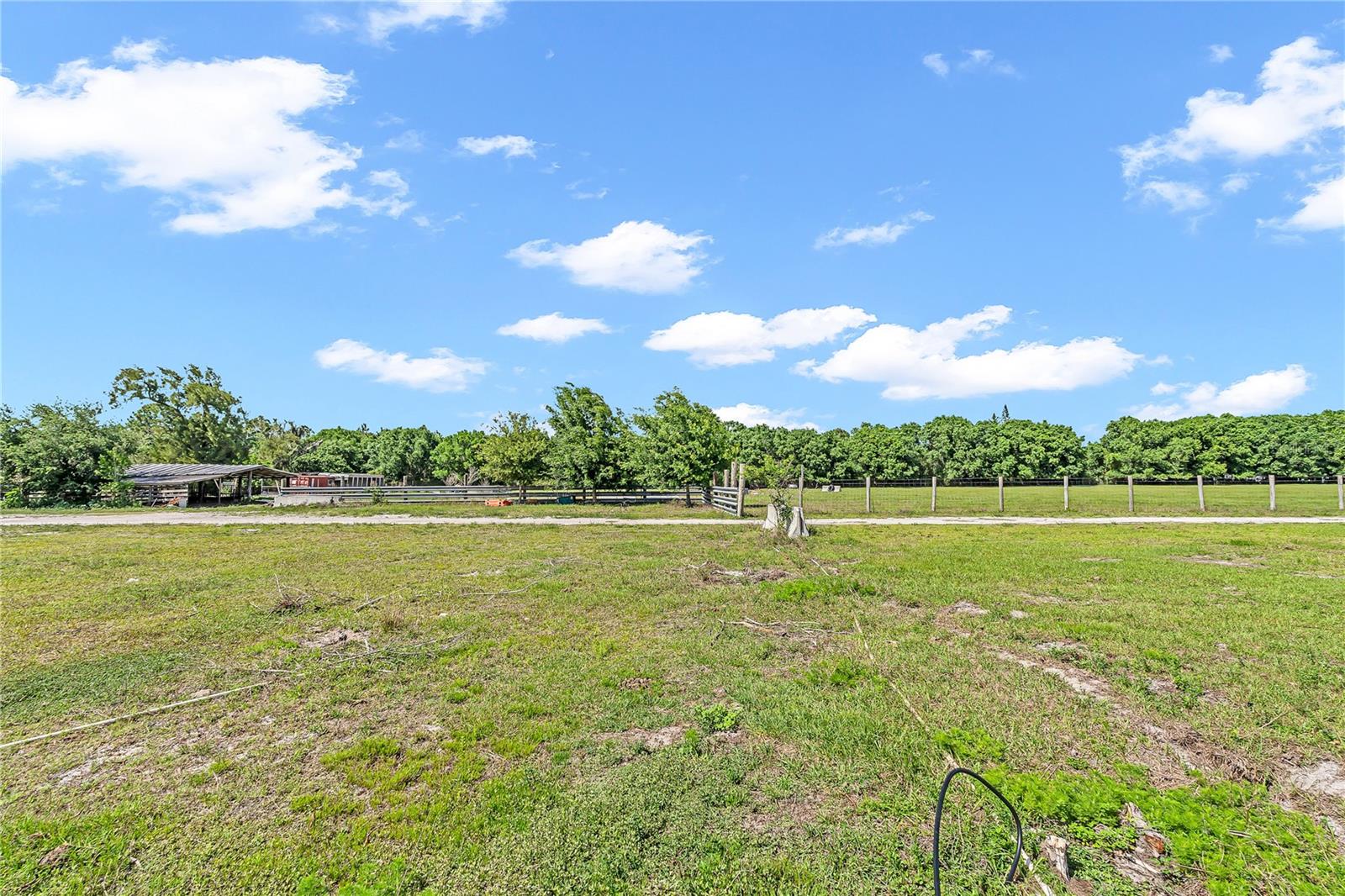 1321 BLUFF HAMMOCK RD, LORIDA, FL — photo 57