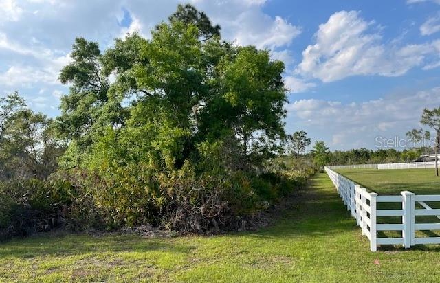 24005 83RD AVE E, MYAKKA CITY, FL — photo 5
