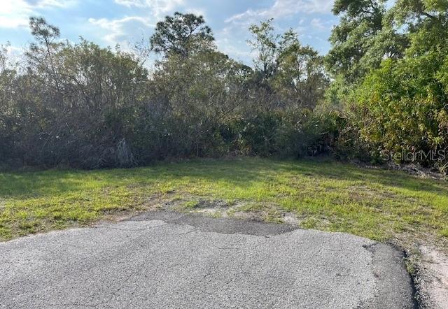 24005 83RD AVE E, MYAKKA CITY, FL — photo 6
