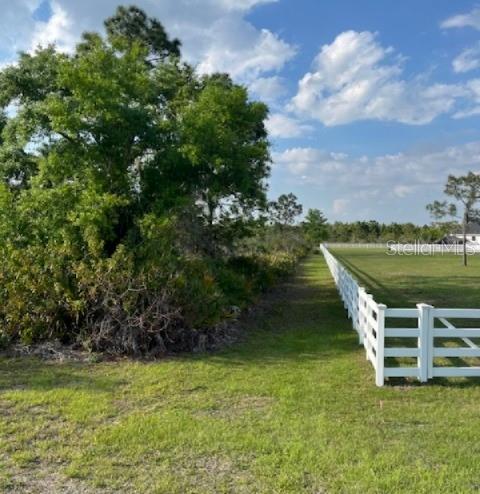 24005 83RD AVE E, MYAKKA CITY, FL — photo 7