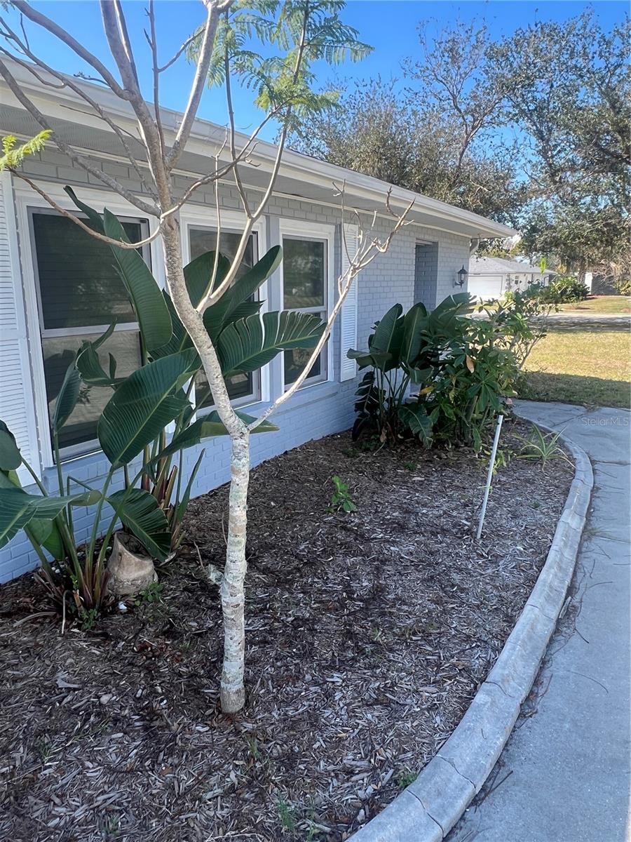 22065 MALONE AVE, PORT CHARLOTTE, FL — photo 9