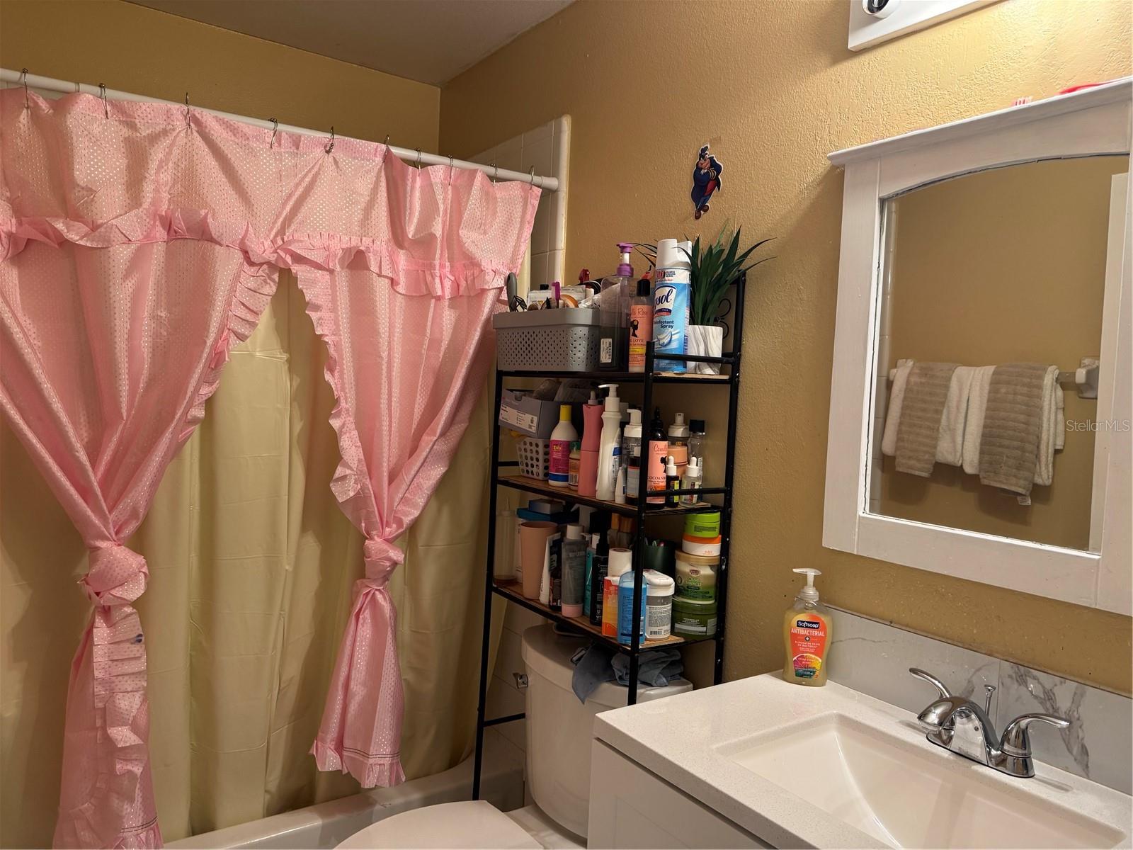 3407 LAKE TINY CIR, ORLANDO, FL — photo 26