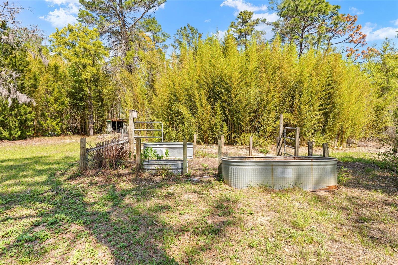 11317 SALINA ST, BROOKSVILLE, FL — photo 40
