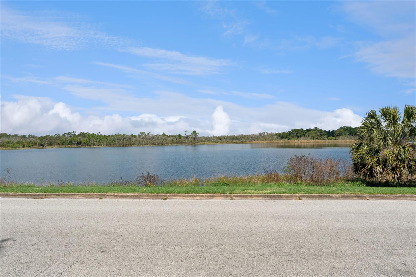 806 S MAIN AVE, GROVELAND, FL — photo 5