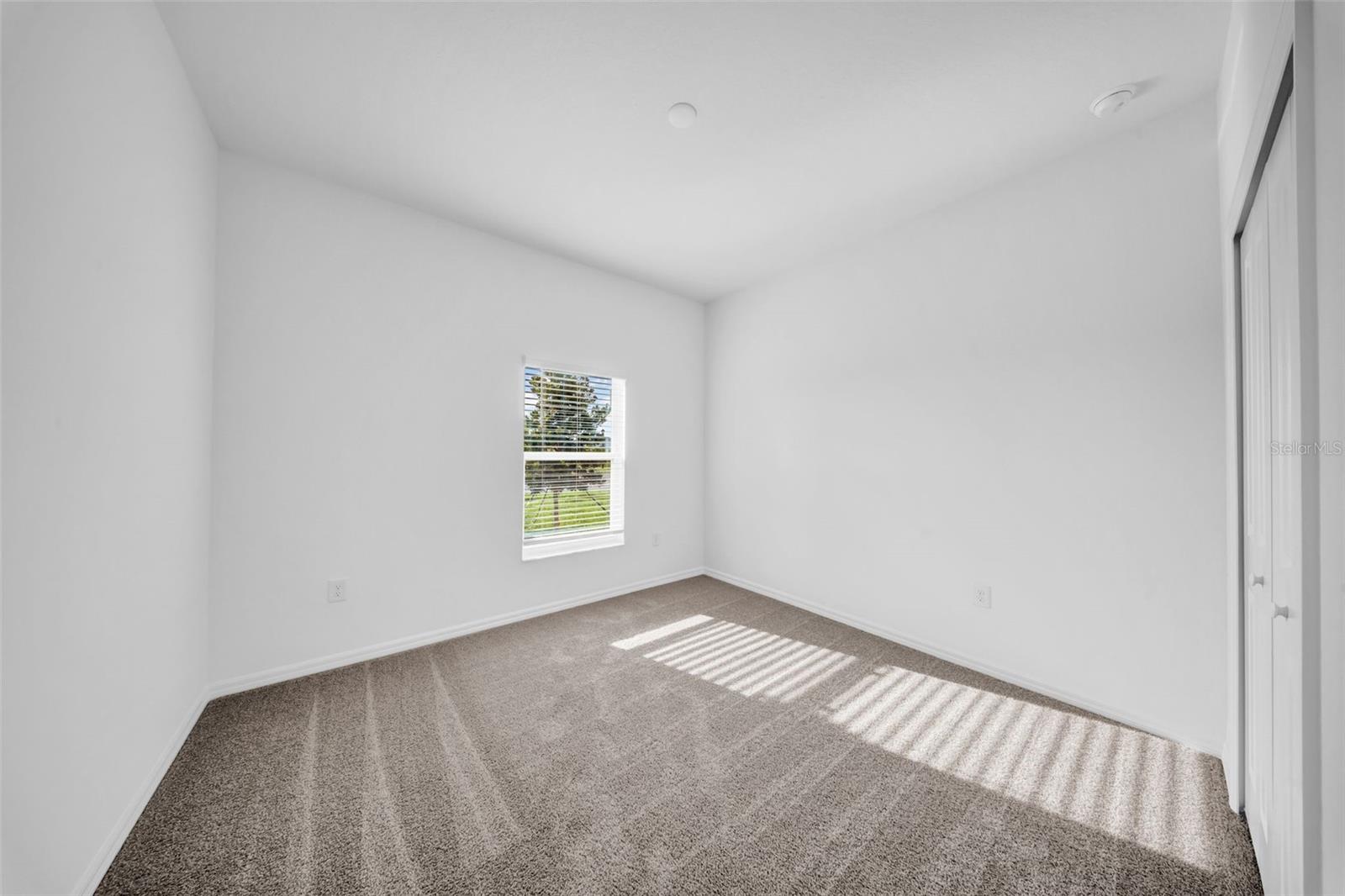 5841 RIVERSTON AVE, WESLEY CHAPEL, FL — photo 32