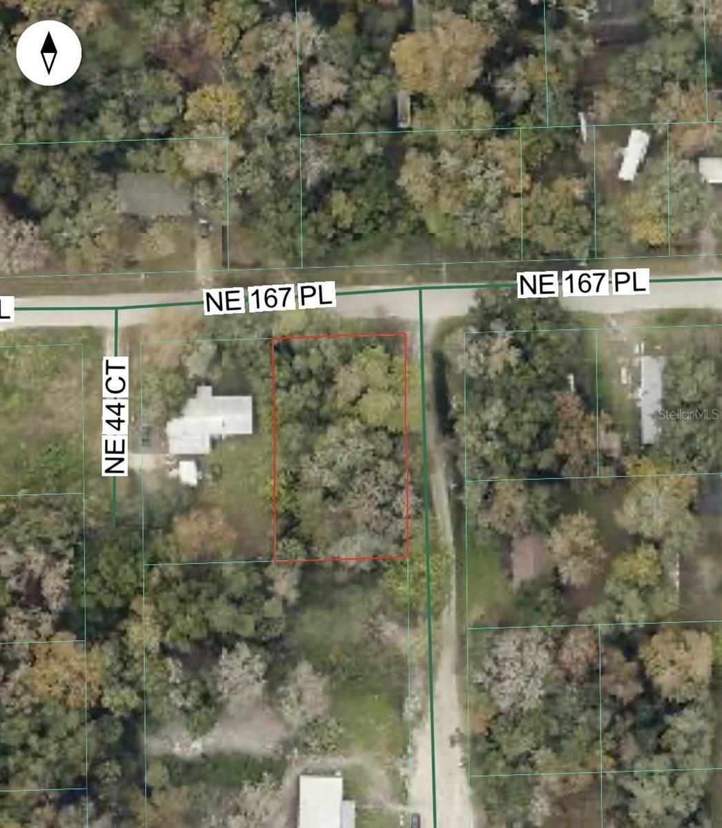 NE 167TH PL, CITRA, FL — photo 2