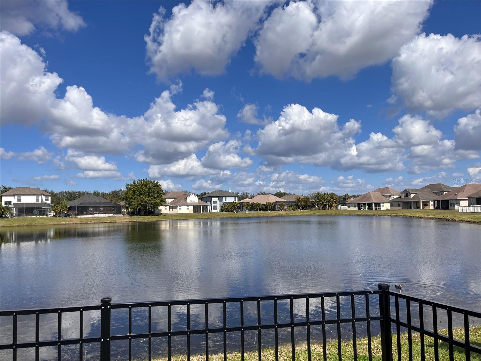 12426 23RD ST E, PARRISH, FL — photo 9