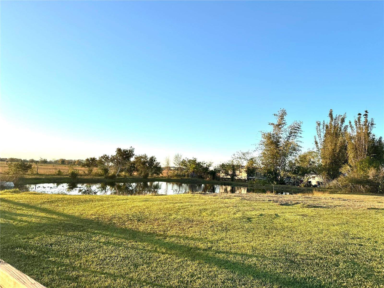 35495 SINGLETARY RD, MYAKKA CITY, FL — photo 45