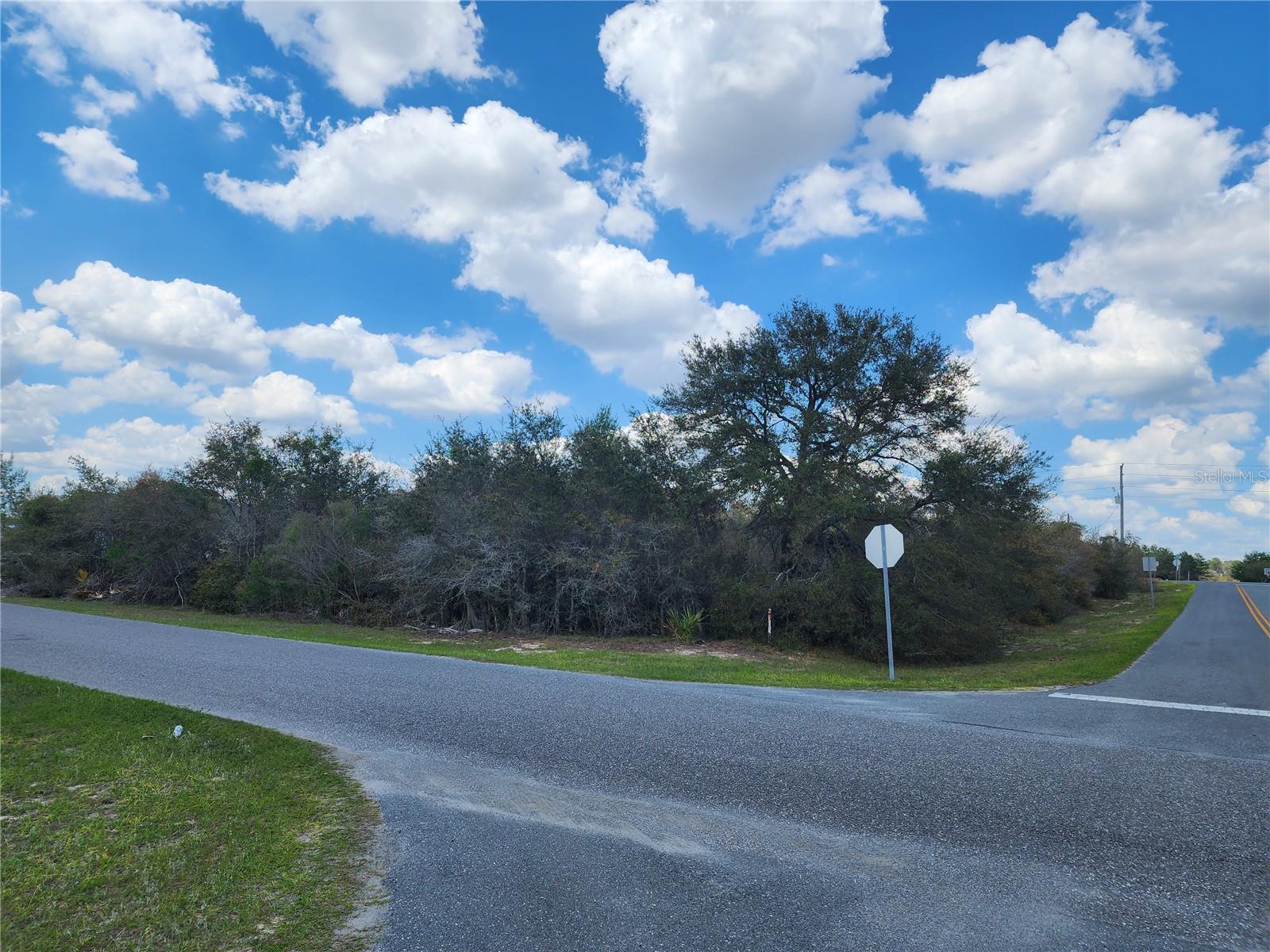 SW 110TH LN, OCALA, FL