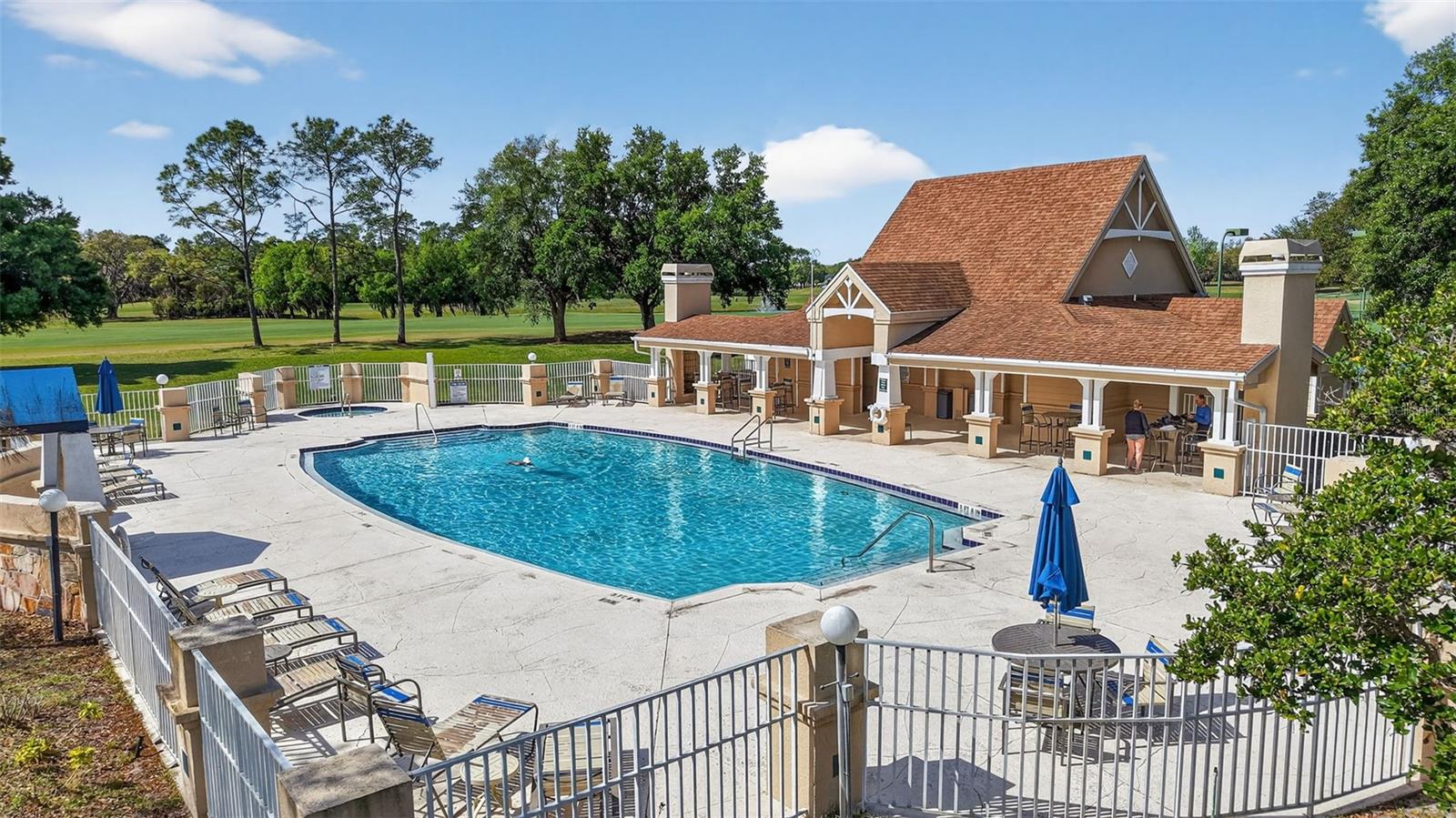 6027 SPRING CREEK CT, MOUNT DORA, FL — photo 73