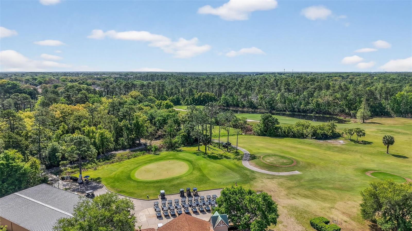 6027 SPRING CREEK CT, MOUNT DORA, FL — photo 81
