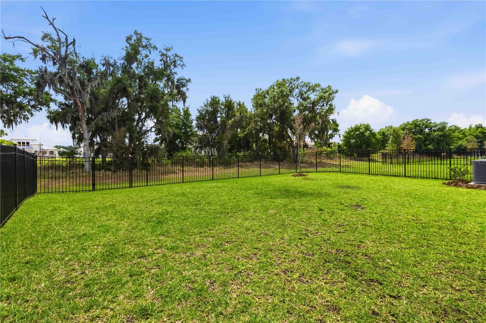 14806 SUMMER BRANCH DR, LITHIA, FL — photo 35