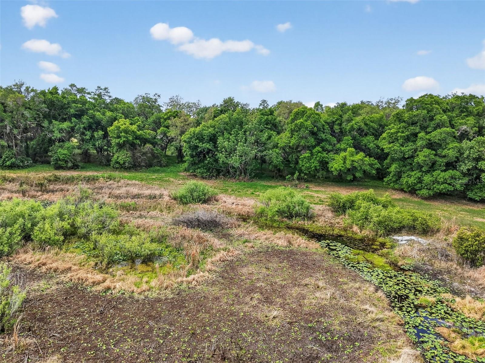 COUNTY LINE ROAD, UMATILLA, FL — photo 10