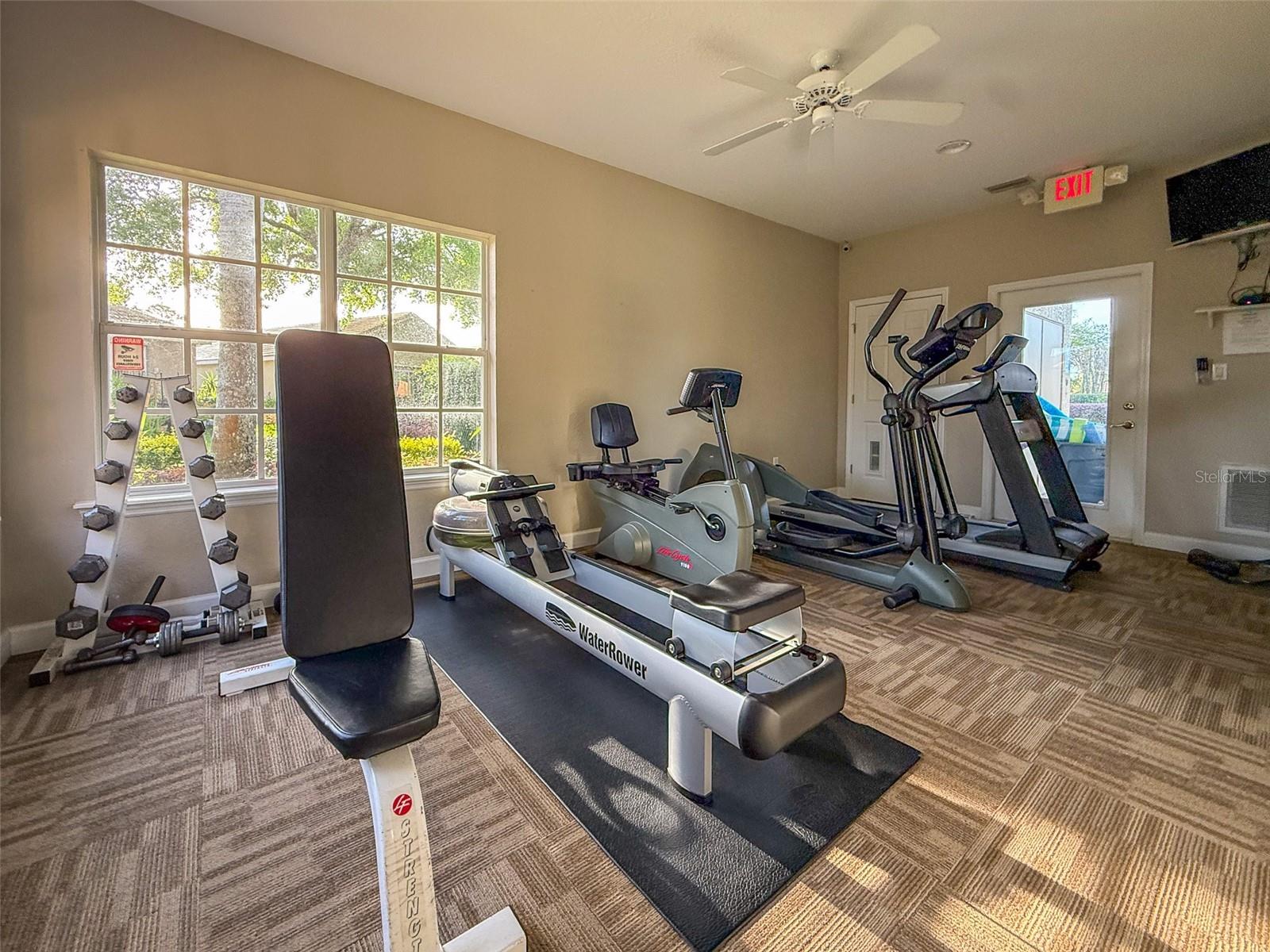9035 SAINT ANDREWS WAY, MOUNT DORA, FL — photo 60