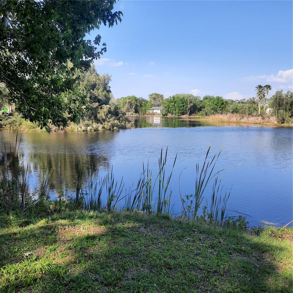 10502 HINDS PL, ODESSA, FL