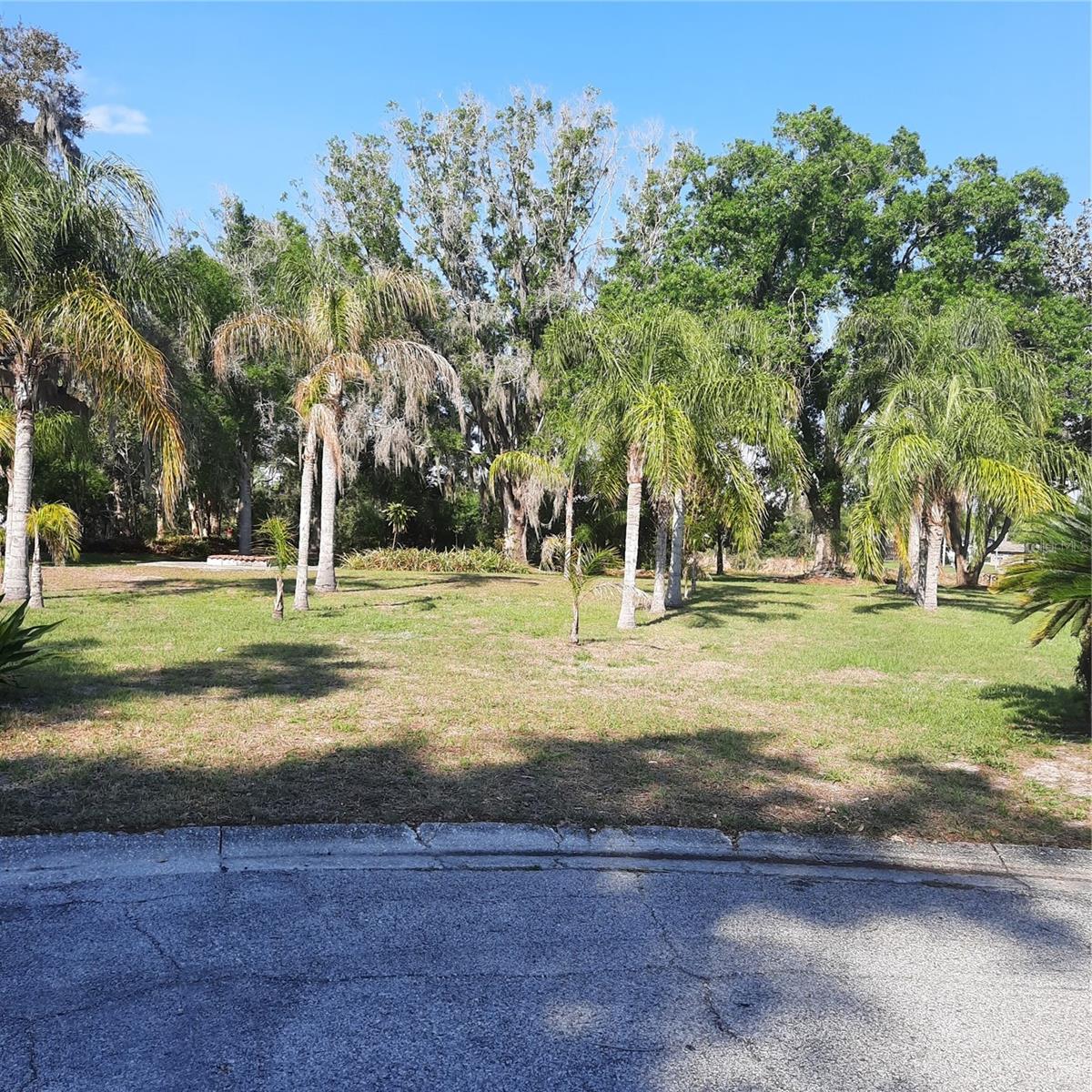 10502 HINDS PL, ODESSA, FL — photo 4