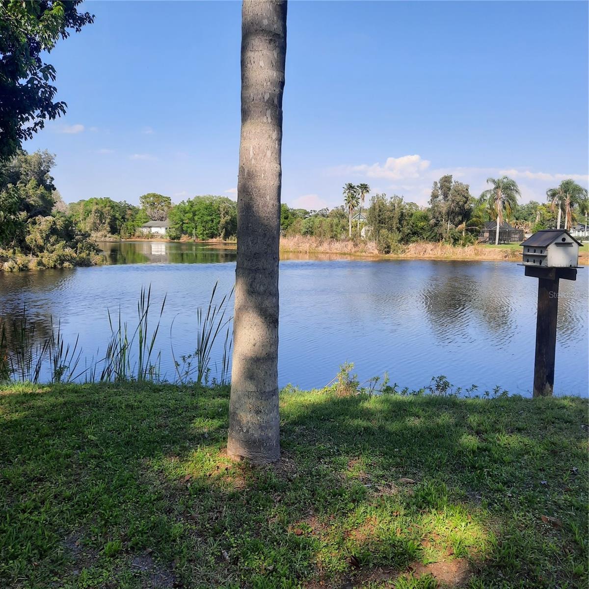 10502 HINDS PL, ODESSA, FL — photo 2