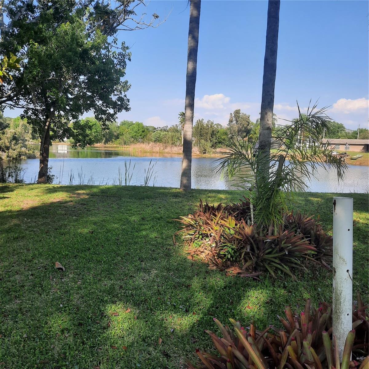 10502 HINDS PL, ODESSA, FL — photo 3