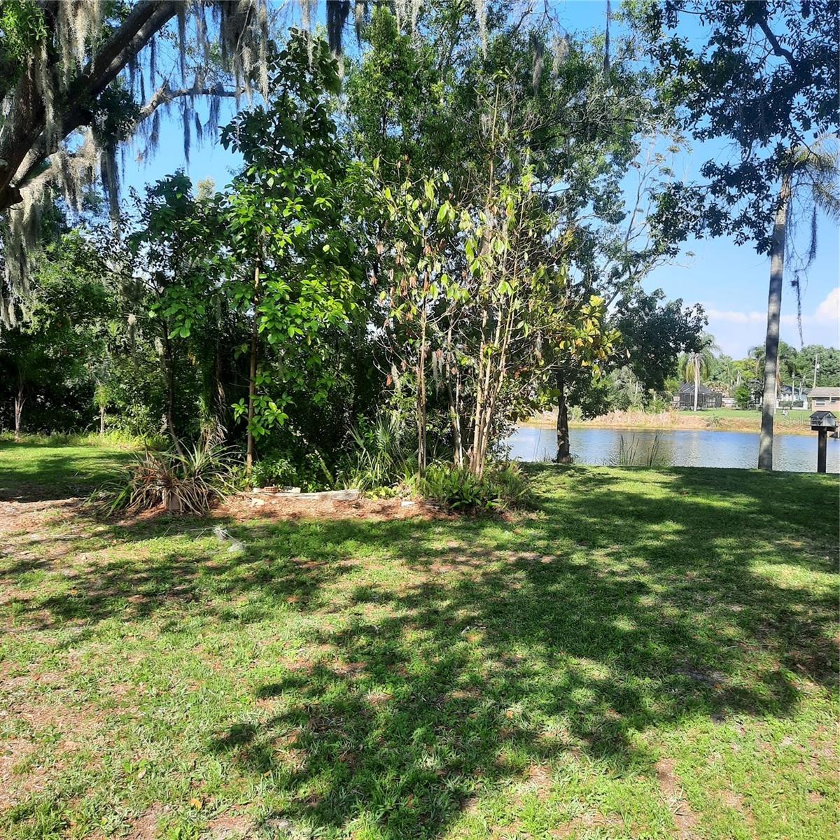 10502 HINDS PL, ODESSA, FL — photo 6
