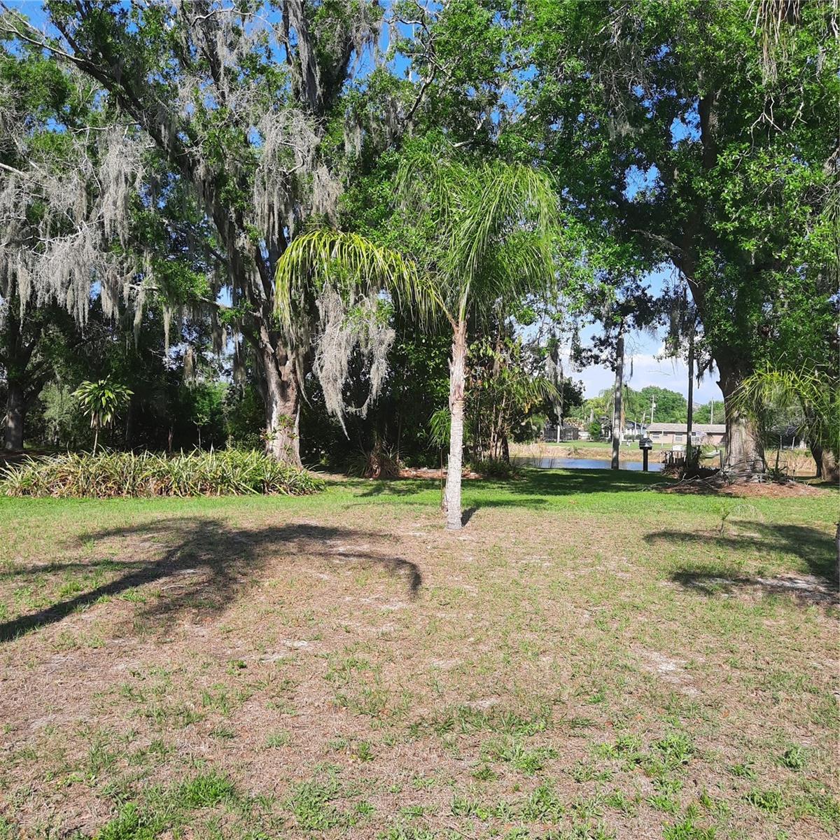 10502 HINDS PL, ODESSA, FL — photo 7