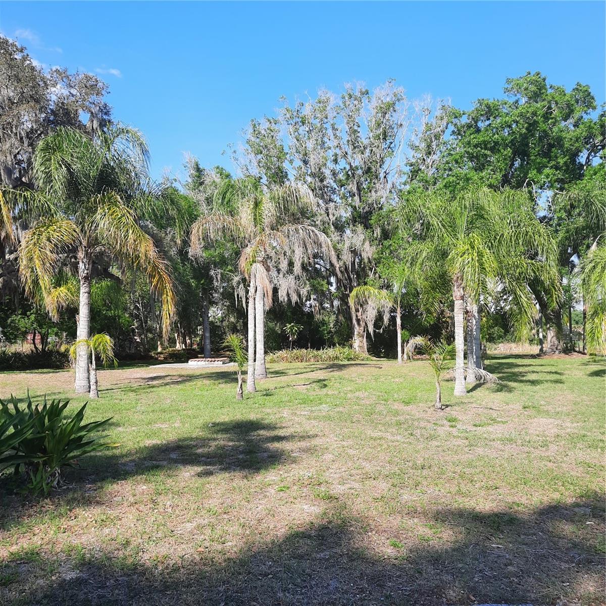 10502 HINDS PL, ODESSA, FL — photo 8