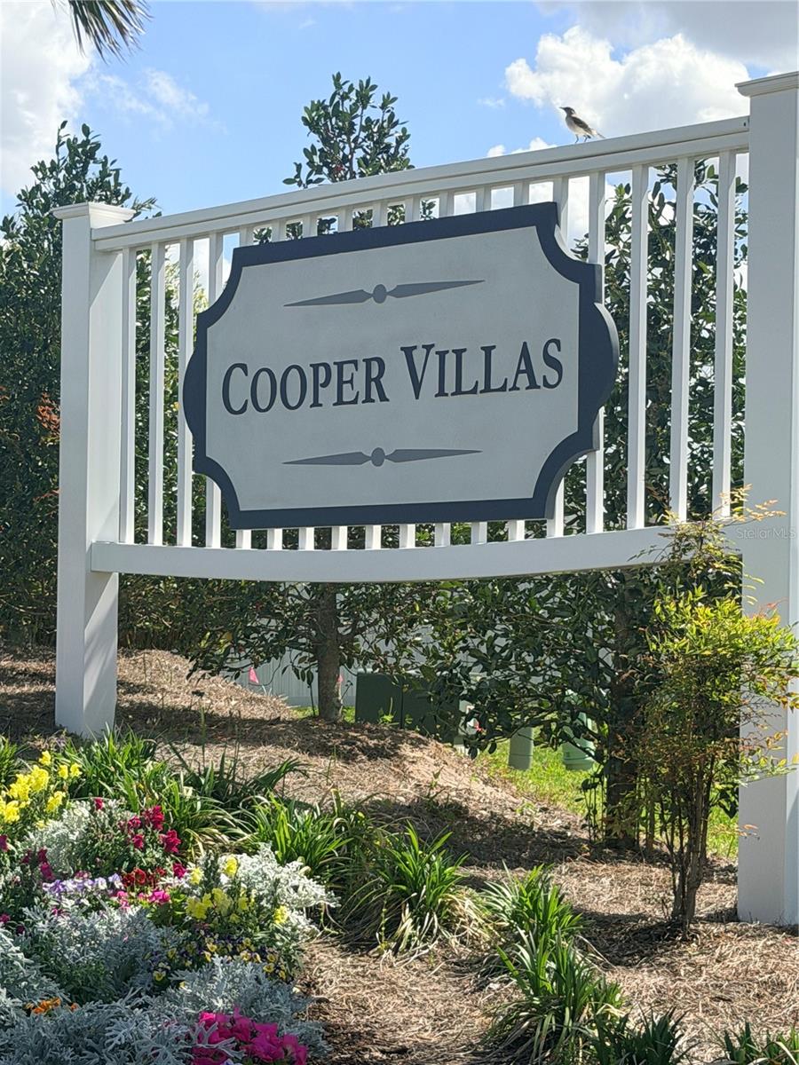 7185 FAY CT, THE VILLAGES, FL — photo 92