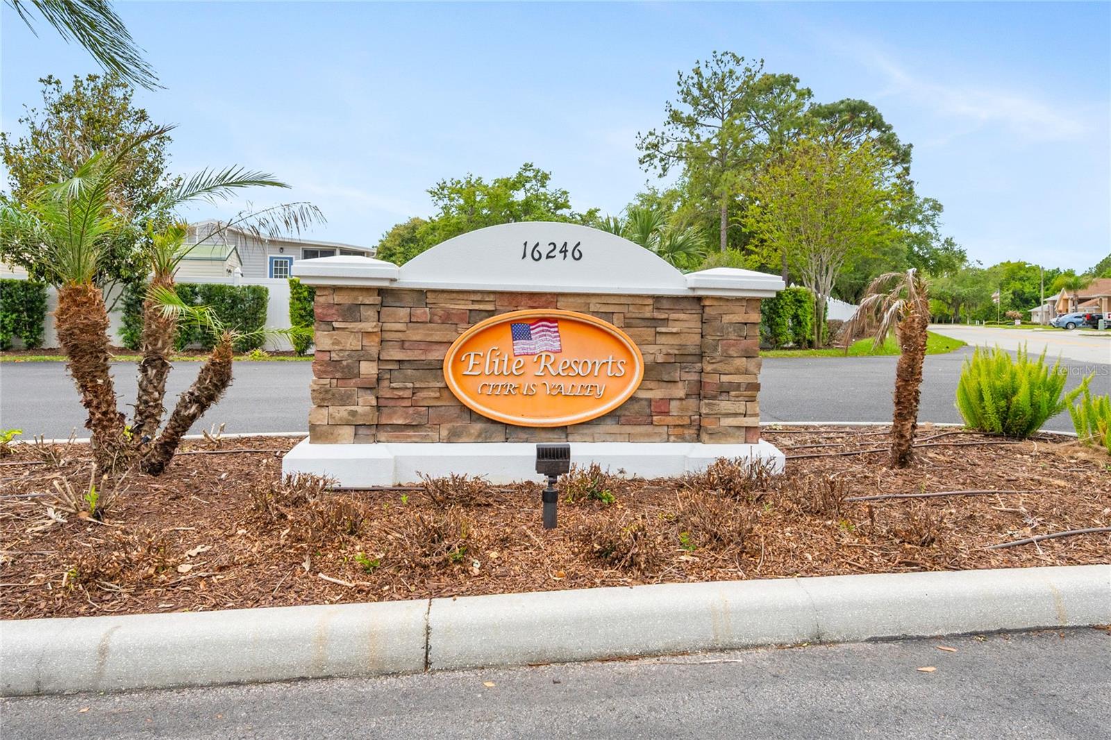 2451 CITRUS TREE RD, CLERMONT, FL — photo 4