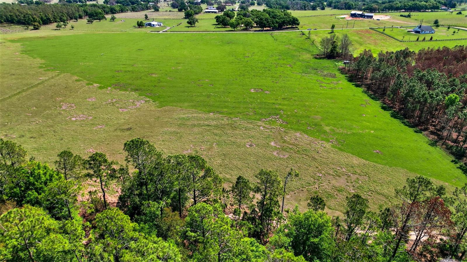 0 HILLTOP HORIZONS PL, DADE CITY, FL — photo 10