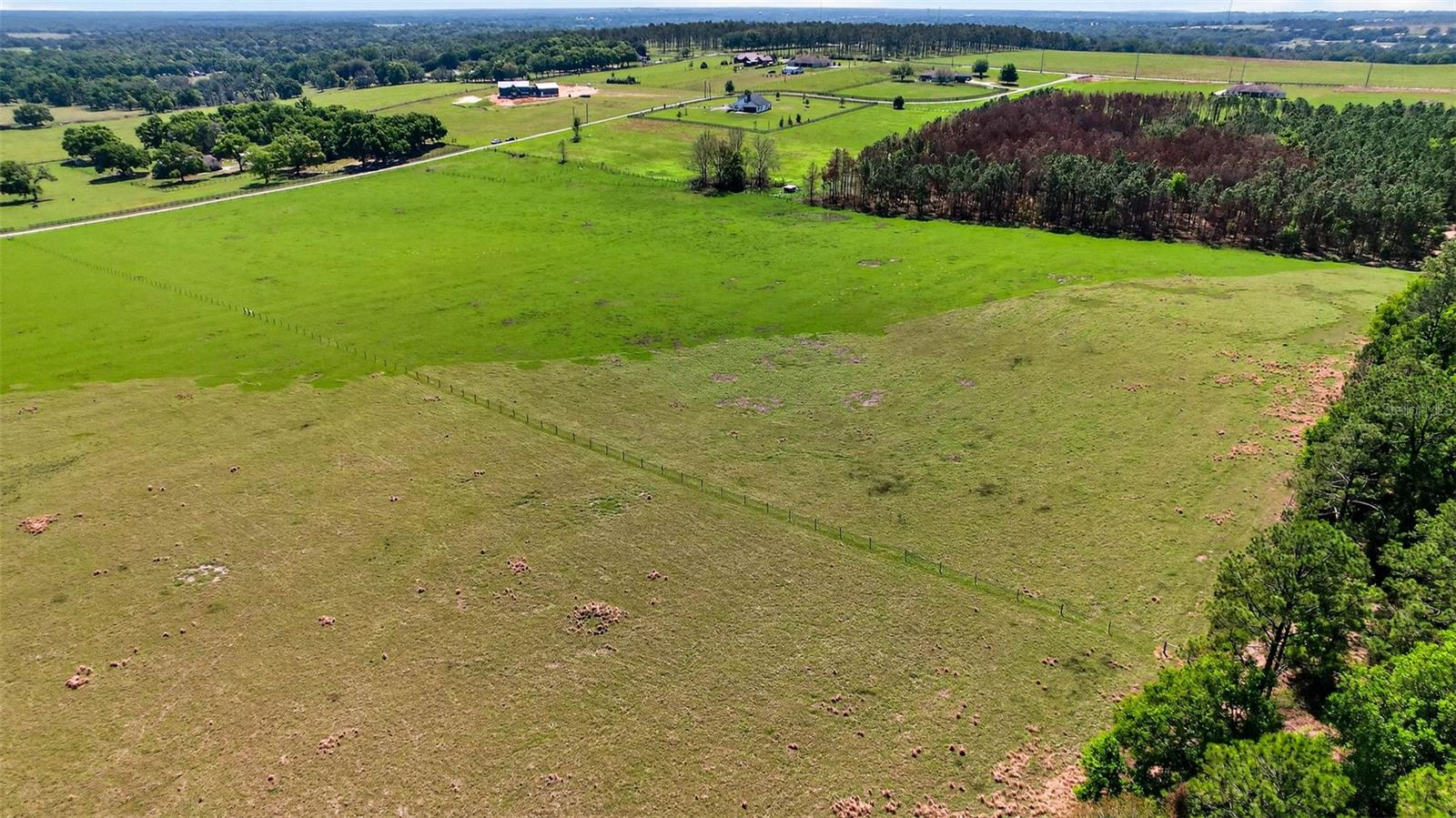 0 HILLTOP HORIZONS PL, DADE CITY, FL — photo 11