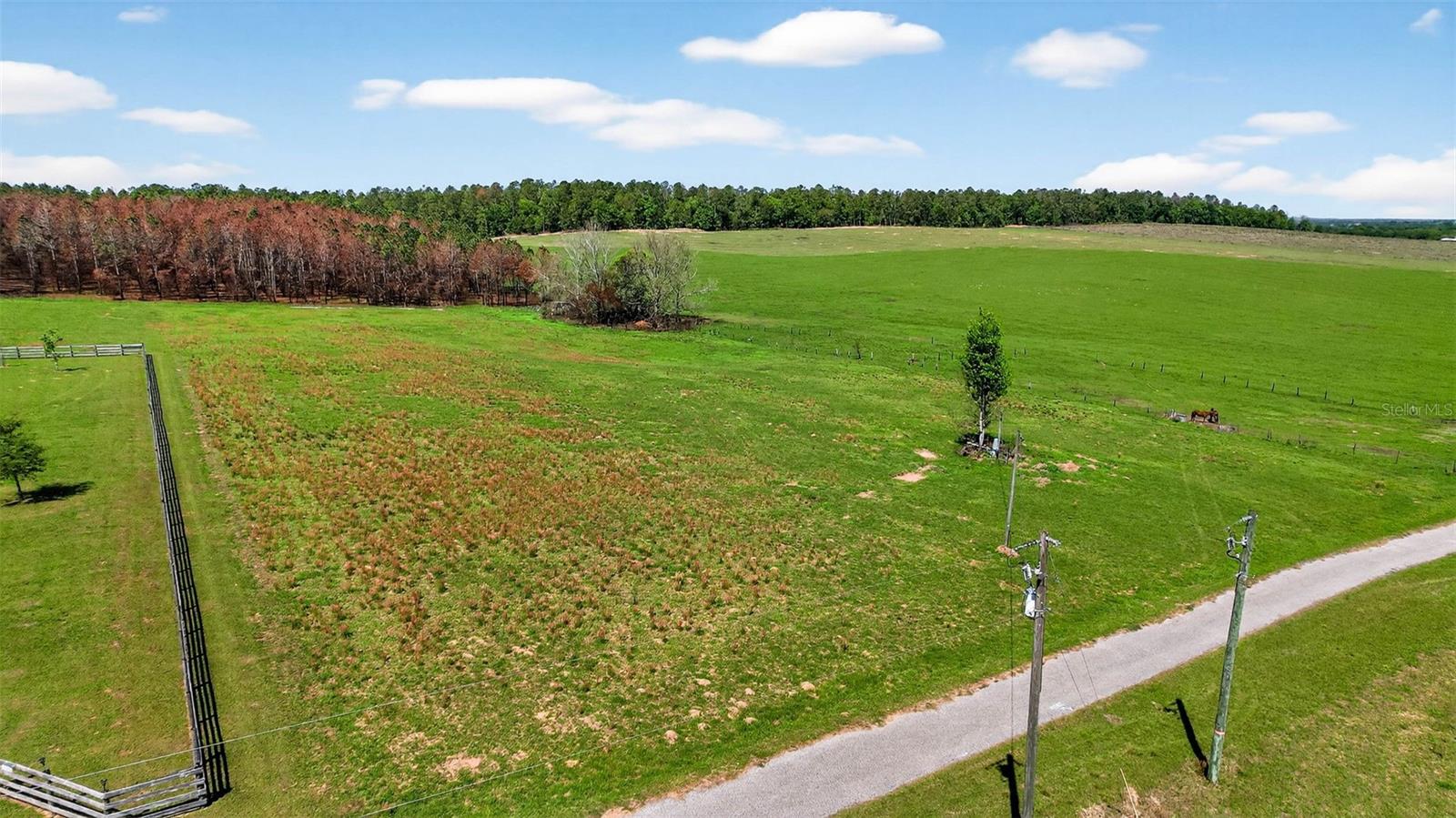 0 HILLTOP HORIZONS PL, DADE CITY, FL — photo 13