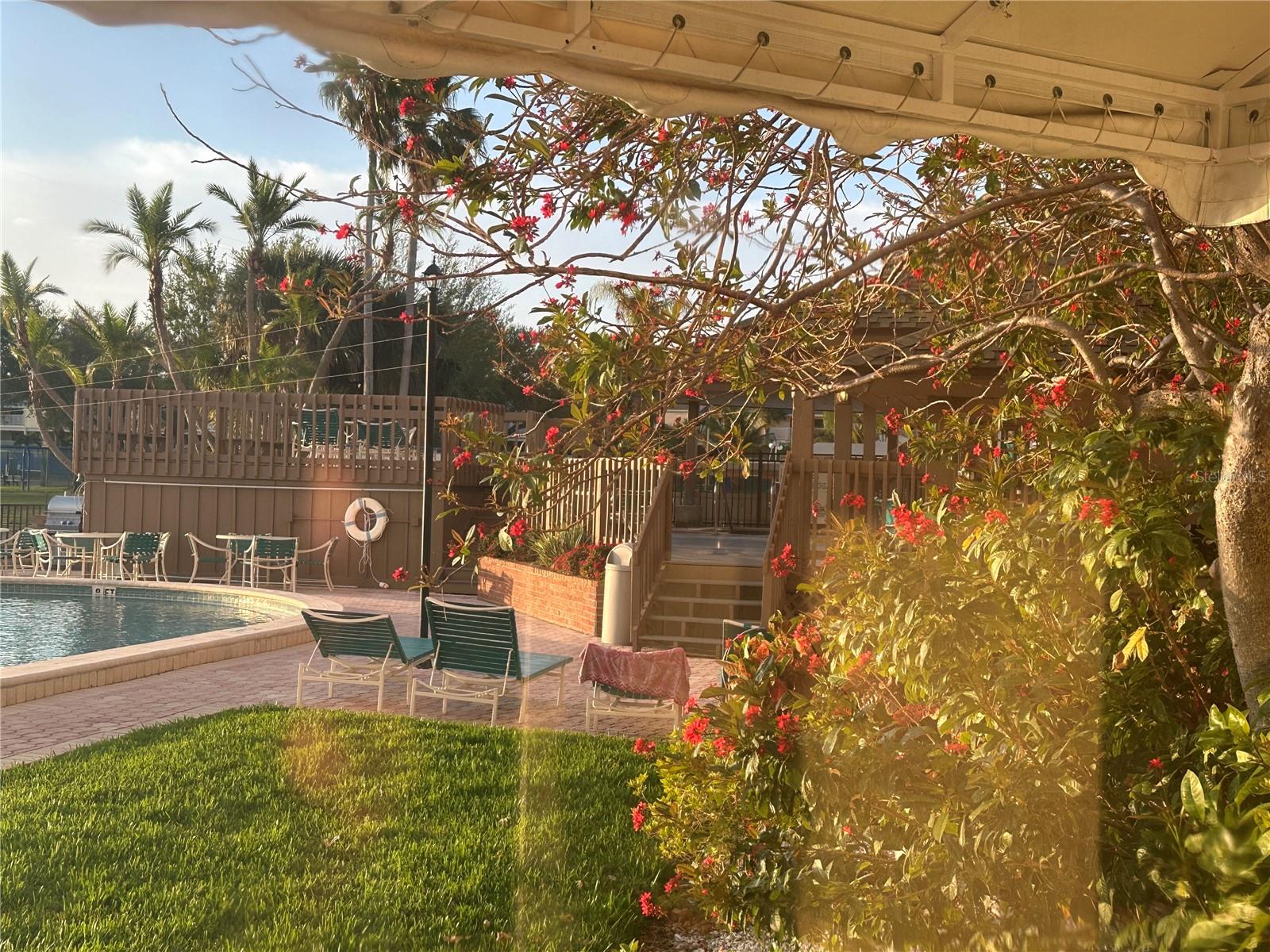 10355 PARADISE BLVD #414, TREASURE ISLAND, FL — photo 19