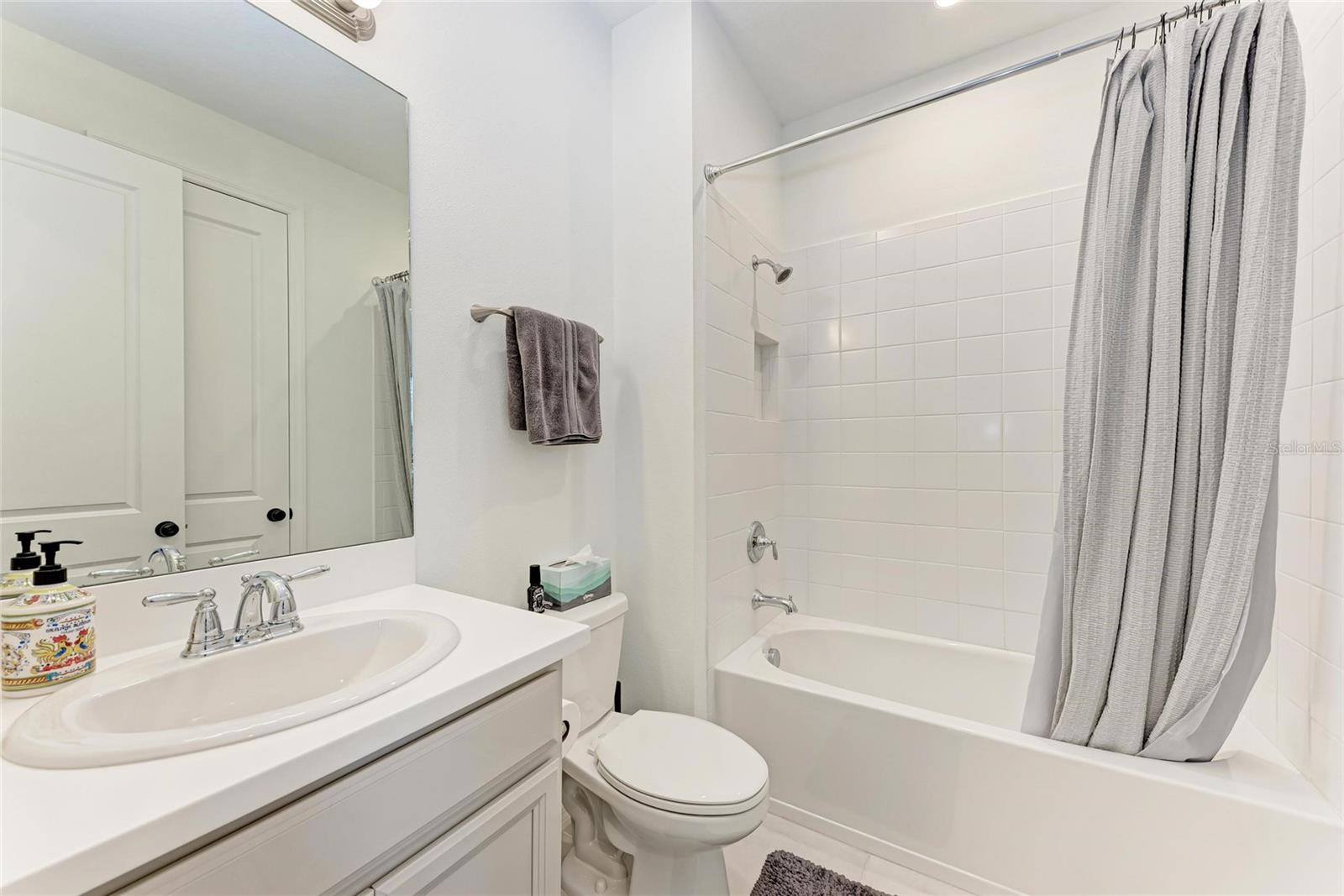 10010 BUCKMAN HALLS DR, PALMETTO, FL — photo 33