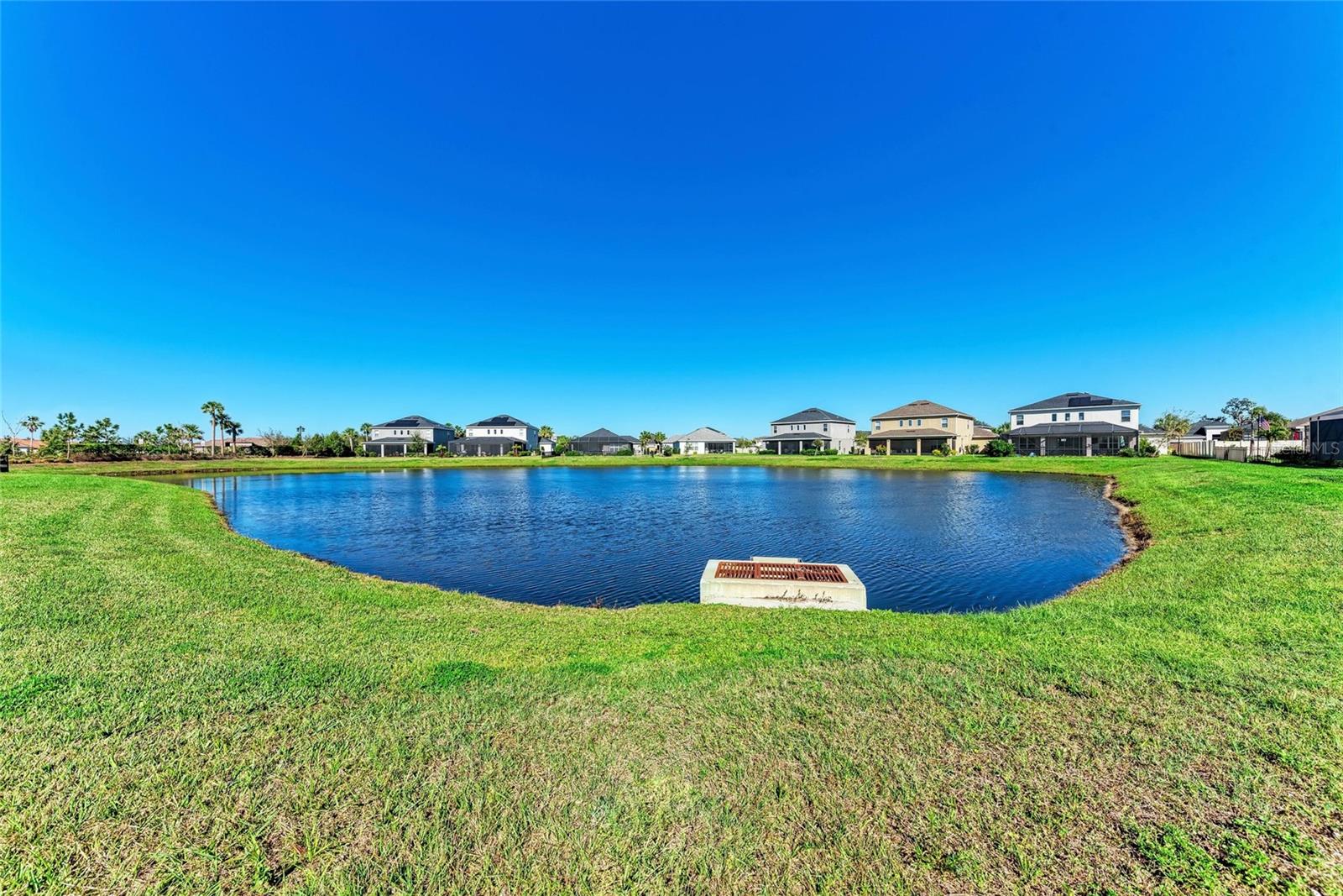 10010 BUCKMAN HALLS DR, PALMETTO, FL — photo 53