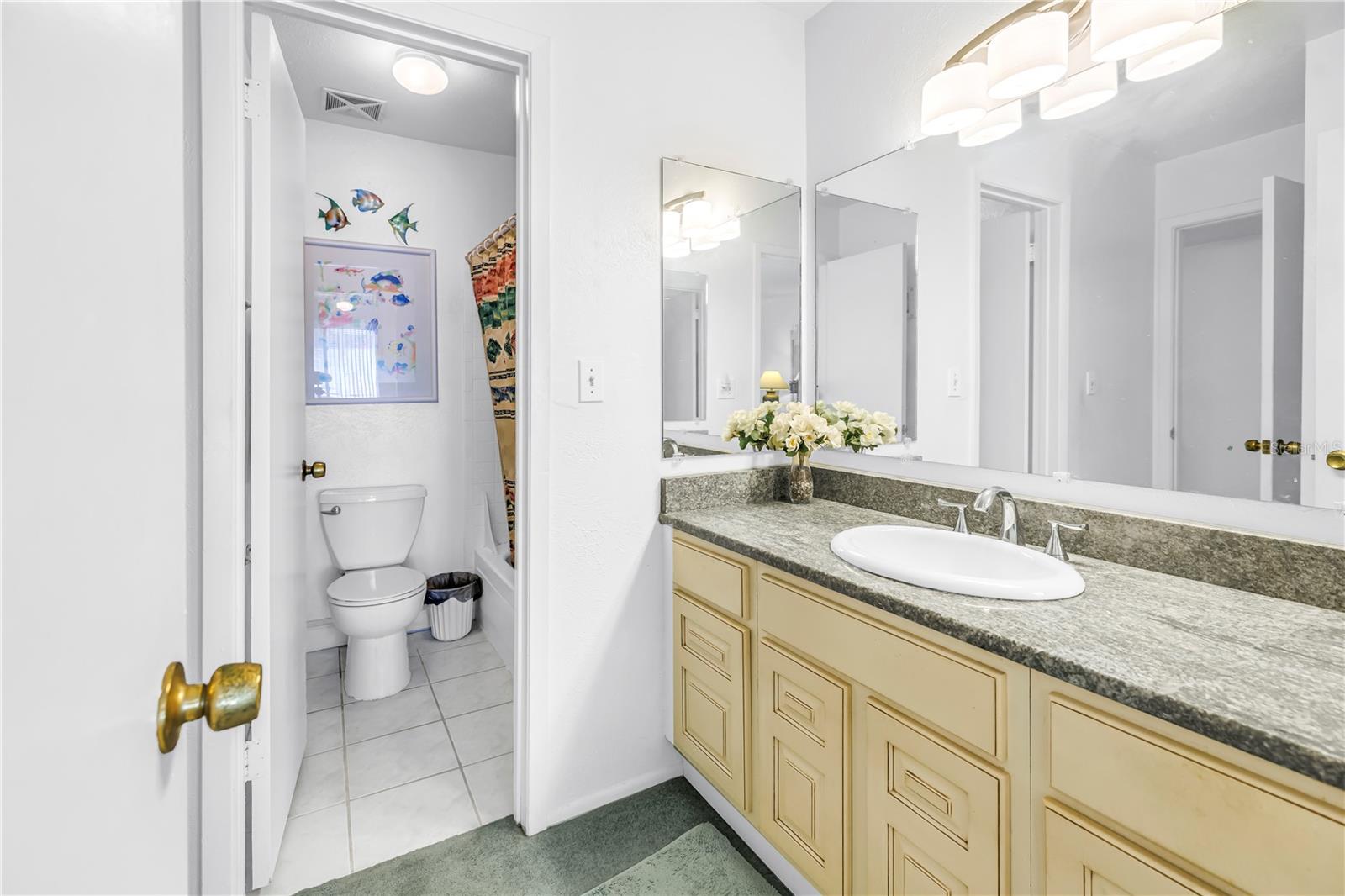 3742 41ST WAY S #F, ST PETERSBURG, FL — photo 10