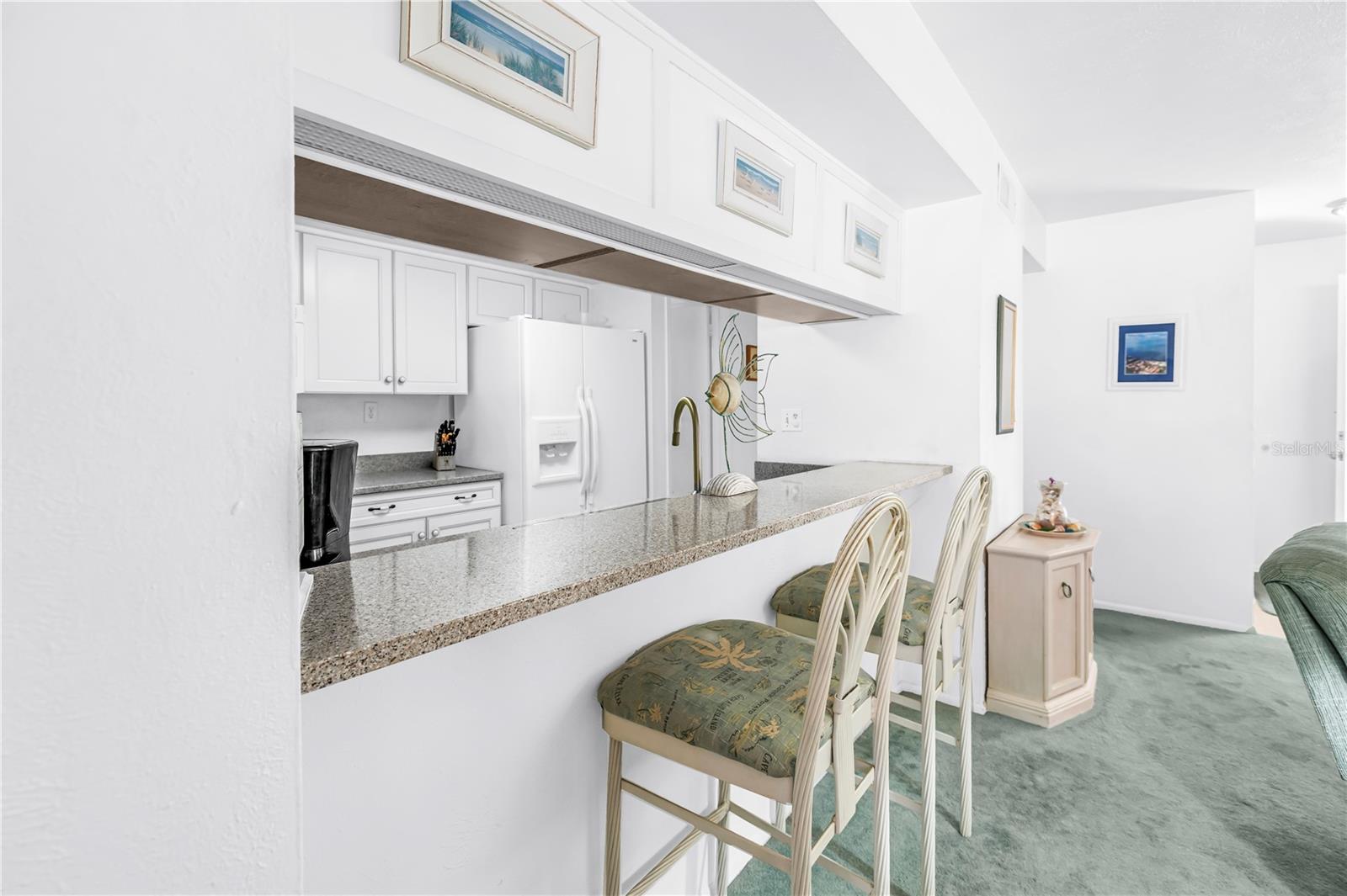 3742 41ST WAY S #F, ST PETERSBURG, FL — photo 19