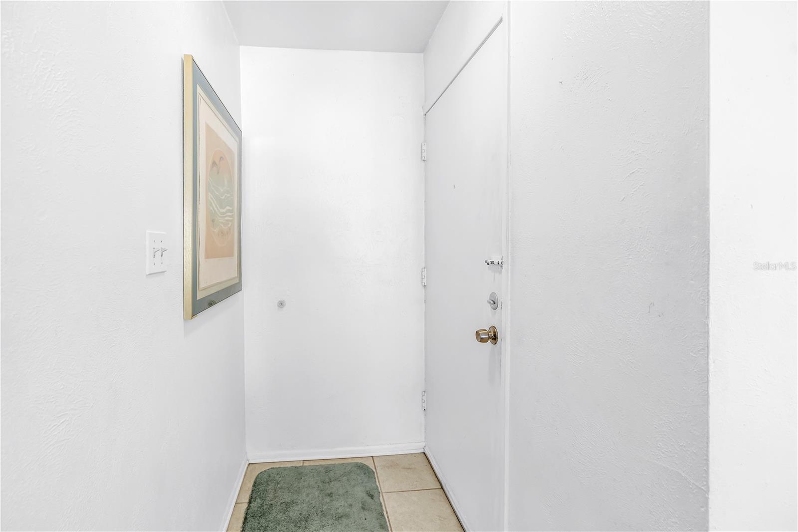 3742 41ST WAY S #F, ST PETERSBURG, FL — photo 33