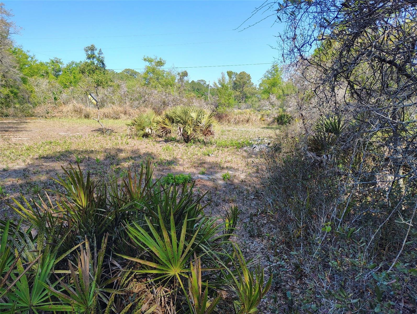 1873 W FOXGLOVE RD, AVON PARK, FL — photo 14