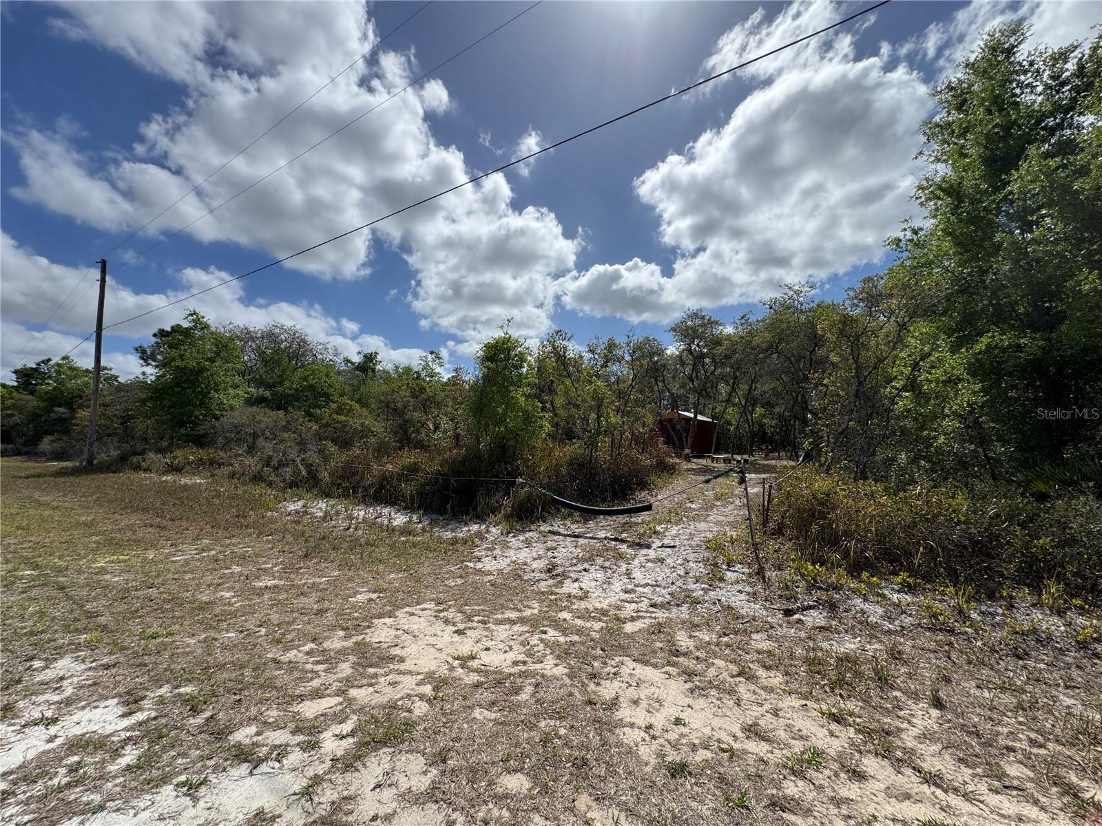 1873 W FOXGLOVE RD, AVON PARK, FL — photo 2