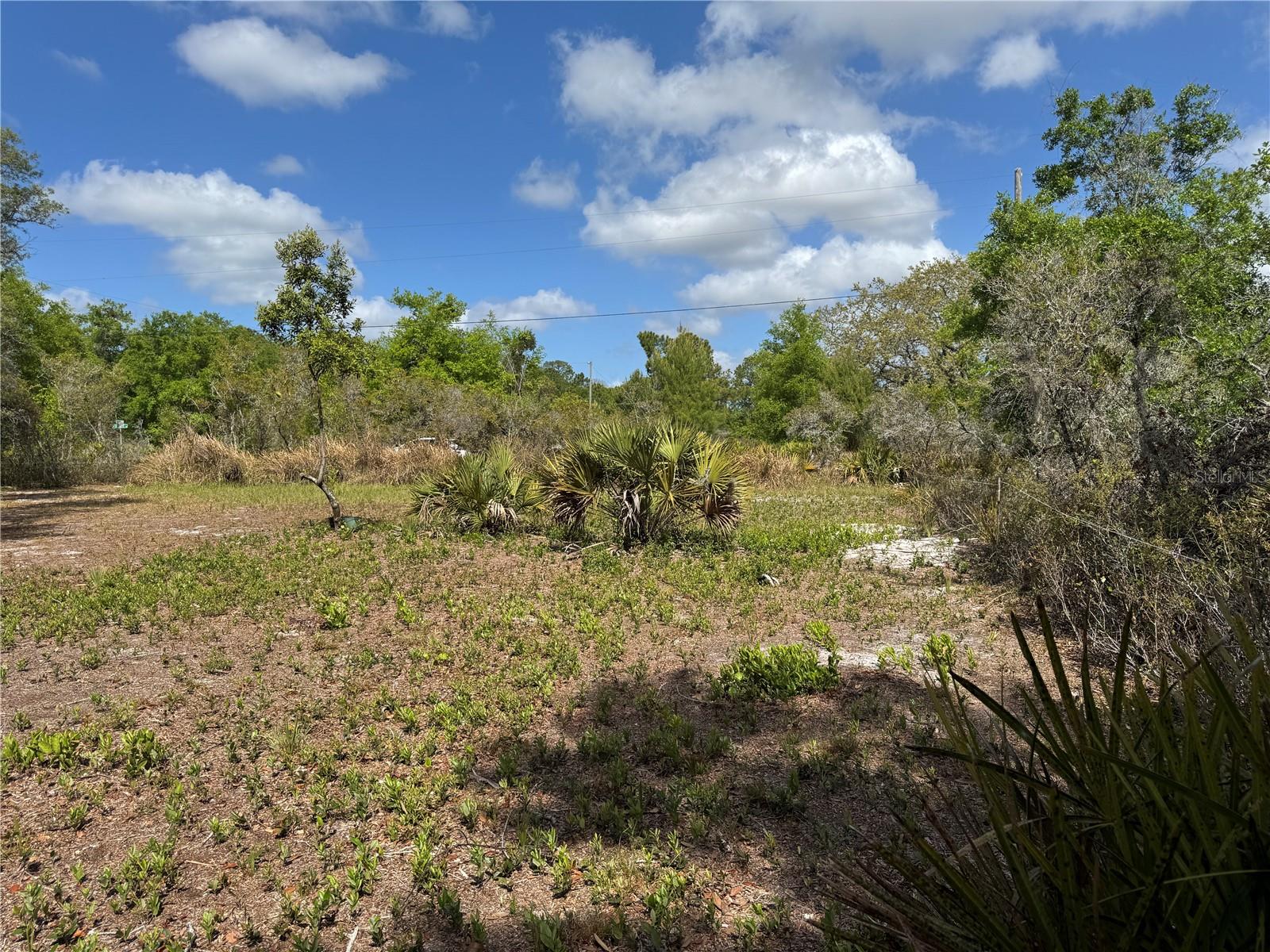 1873 W FOXGLOVE RD, AVON PARK, FL — photo 13