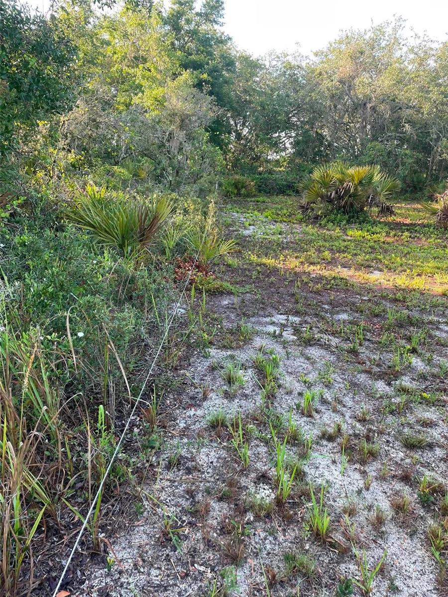 1873 W FOXGLOVE RD, AVON PARK, FL — photo 15