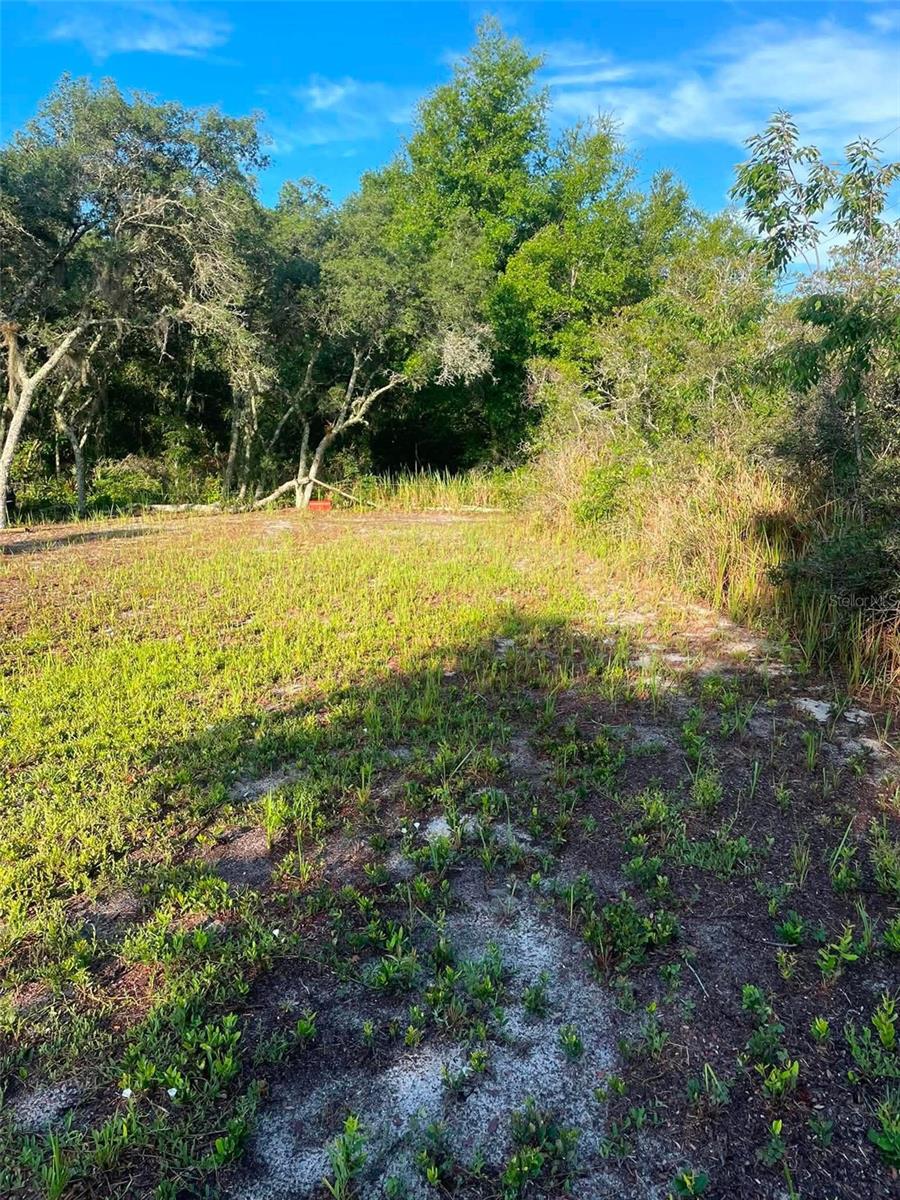 1873 W FOXGLOVE RD, AVON PARK, FL — photo 16