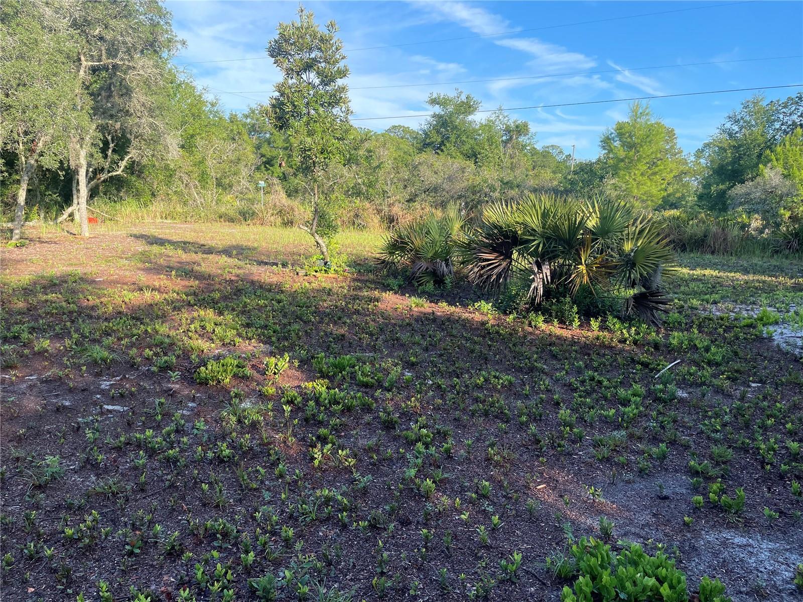 1873 W FOXGLOVE RD, AVON PARK, FL — photo 18